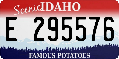 ID license plate E295576