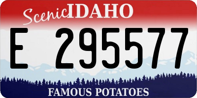 ID license plate E295577