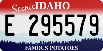 ID license plate E295579