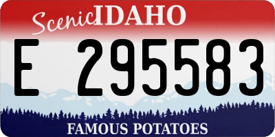 ID license plate E295583