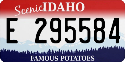 ID license plate E295584