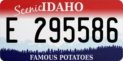 ID license plate E295586