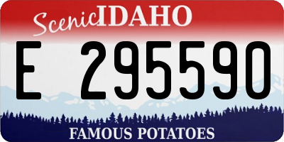ID license plate E295590