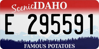 ID license plate E295591