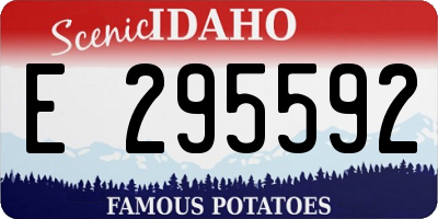 ID license plate E295592