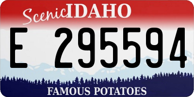 ID license plate E295594