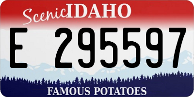 ID license plate E295597