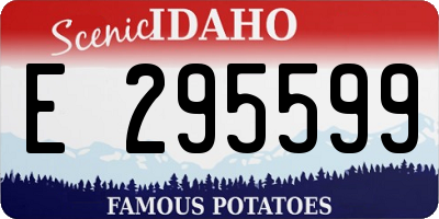 ID license plate E295599