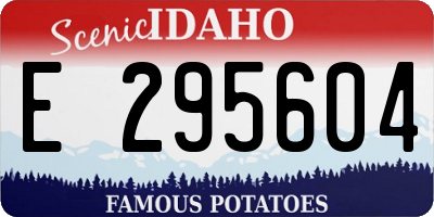 ID license plate E295604