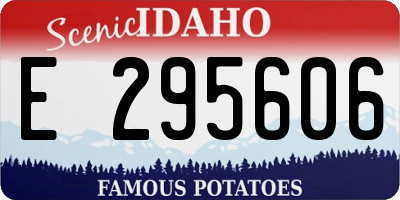 ID license plate E295606