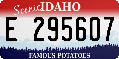 ID license plate E295607