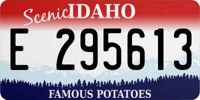 ID license plate E295613