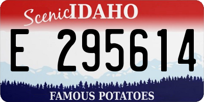 ID license plate E295614