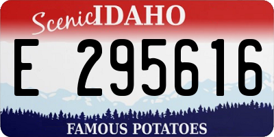 ID license plate E295616