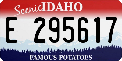 ID license plate E295617