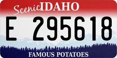 ID license plate E295618