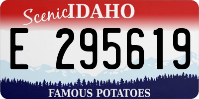 ID license plate E295619