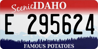ID license plate E295624