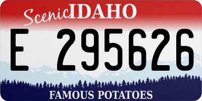 ID license plate E295626