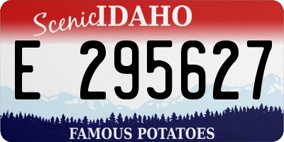 ID license plate E295627