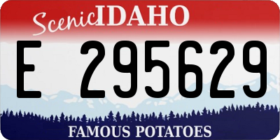 ID license plate E295629