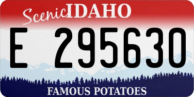 ID license plate E295630