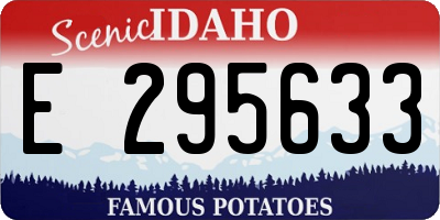 ID license plate E295633