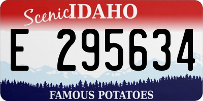 ID license plate E295634