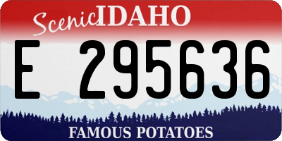 ID license plate E295636