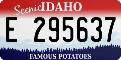ID license plate E295637