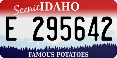 ID license plate E295642