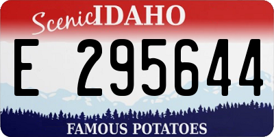 ID license plate E295644