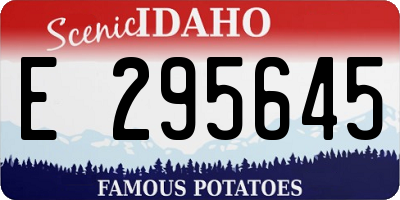 ID license plate E295645