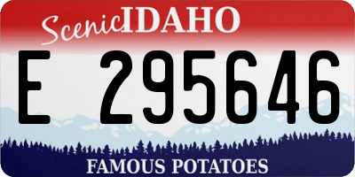ID license plate E295646