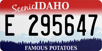 ID license plate E295647