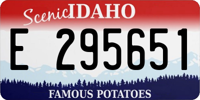 ID license plate E295651