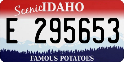 ID license plate E295653