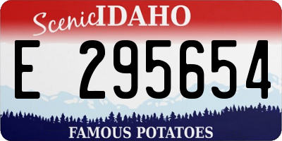 ID license plate E295654