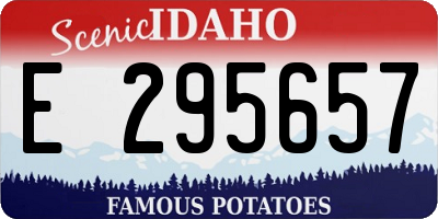 ID license plate E295657