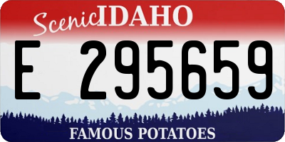 ID license plate E295659