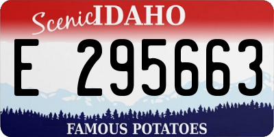 ID license plate E295663