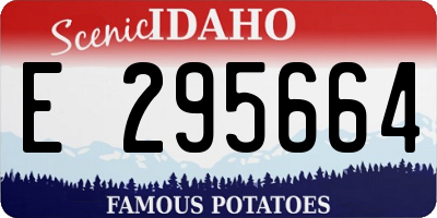 ID license plate E295664