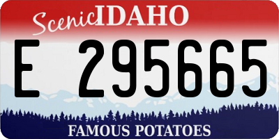 ID license plate E295665