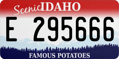 ID license plate E295666