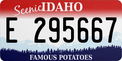 ID license plate E295667
