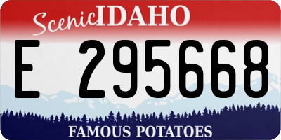 ID license plate E295668