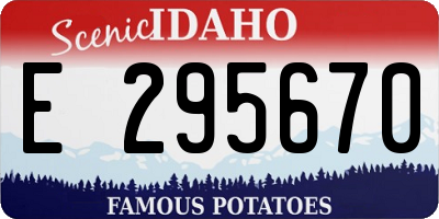 ID license plate E295670