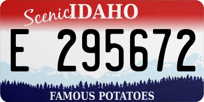 ID license plate E295672
