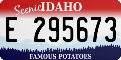 ID license plate E295673
