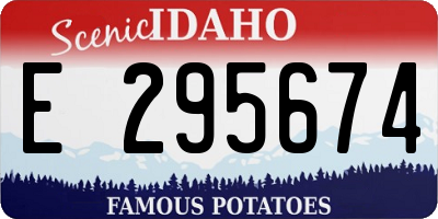 ID license plate E295674